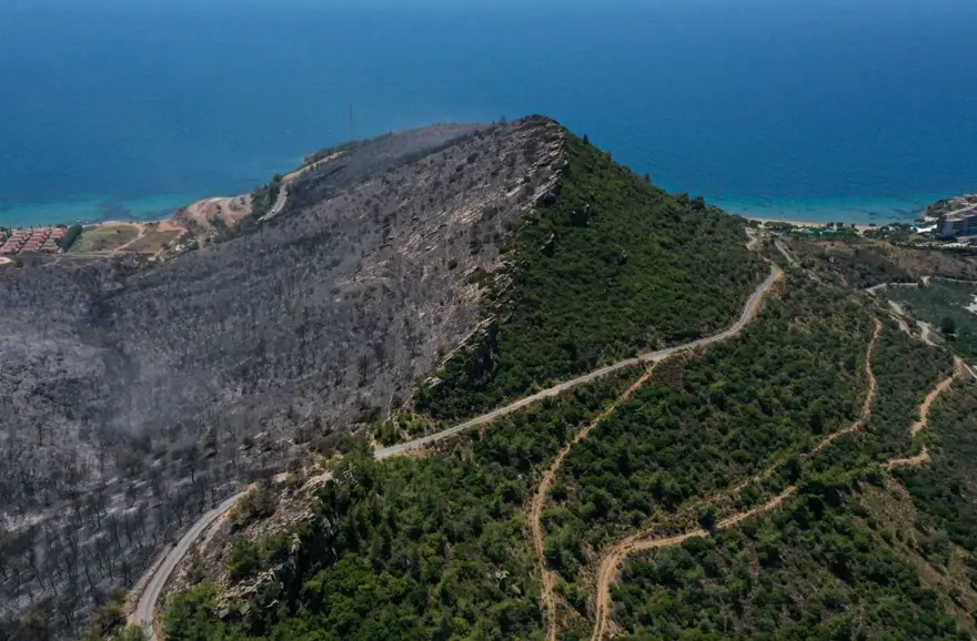 Menderes'teki orman yangınından geriye kalanlar 