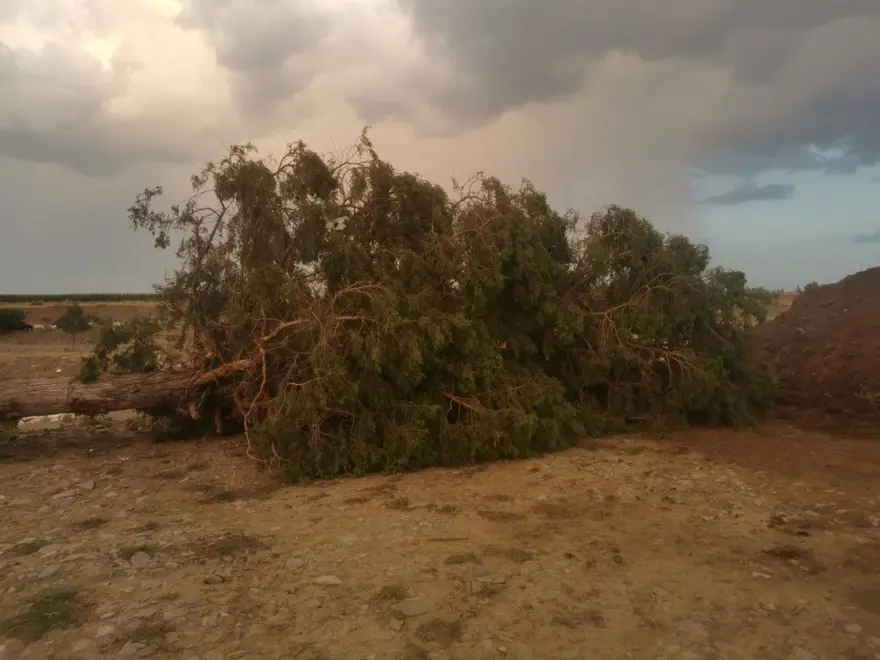 ''DEKORLARIMIZIN BÜYÜK BÖLÜMÜ ZARAR GÖRDÜ'' 6