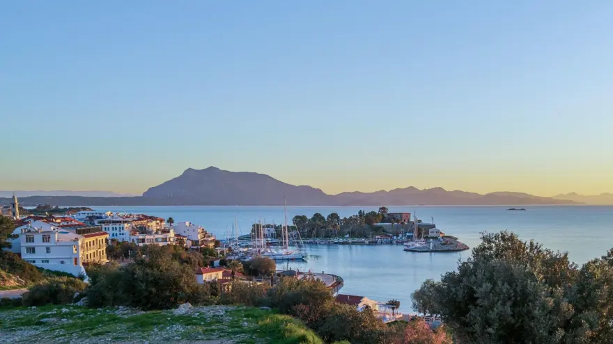 Bir ilçe karantinaya alındı: Mavi dil hastalığı 4