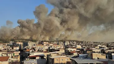 Buca orman yangını: Bir kişi tutuklandı