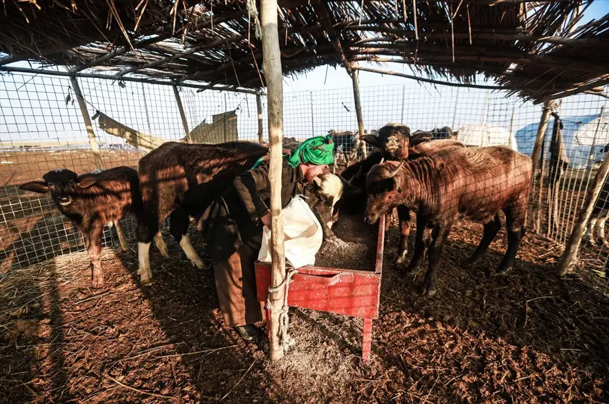 Mezopotamya'nın saklı güzelliği: Bataklıklar 23