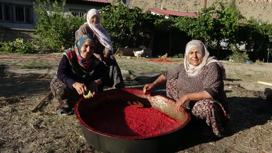 ODUN ATEŞİNDE SALÇA YAPIMI 4