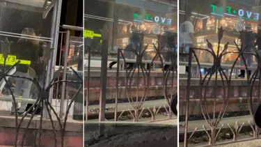 İstanbul'da tramvay durağında taciz dayağı