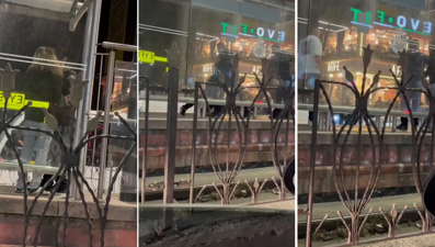 İstanbul'da tramvay durağında taciz dayağı