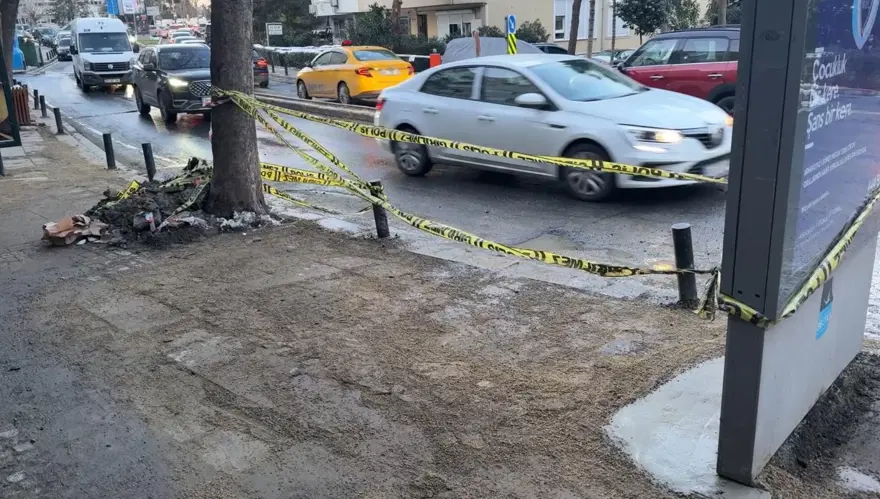 İstanbul’da ikinci vaka: Choko ölümden döndü, kaçakgiderildi 4