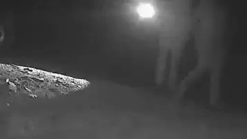 Bozayı vuran kaçak avcılar 170 bin lira ceza yedi