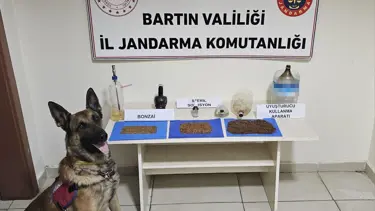 Bartın'da uyuşturucu operasyonu: 1 gözaltı