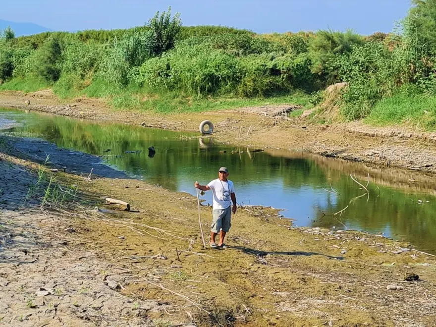 Ege'nin can damarı kuruyor: Balıklar oksijensizlikten öldü 5