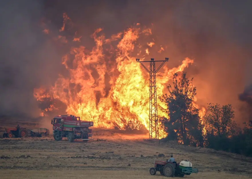 Sakarya'daki orman yangını Bilecik'e sıçradı 1 Sakarya'daki orman yangını Bilecik'e sıçradı 1
