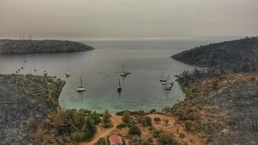 Bodrum ve Milas'ta yanan alanlar havadan görüntülendi 20 Bodrum ve Milas'ta yanan alanlar havadan görüntülendi 20