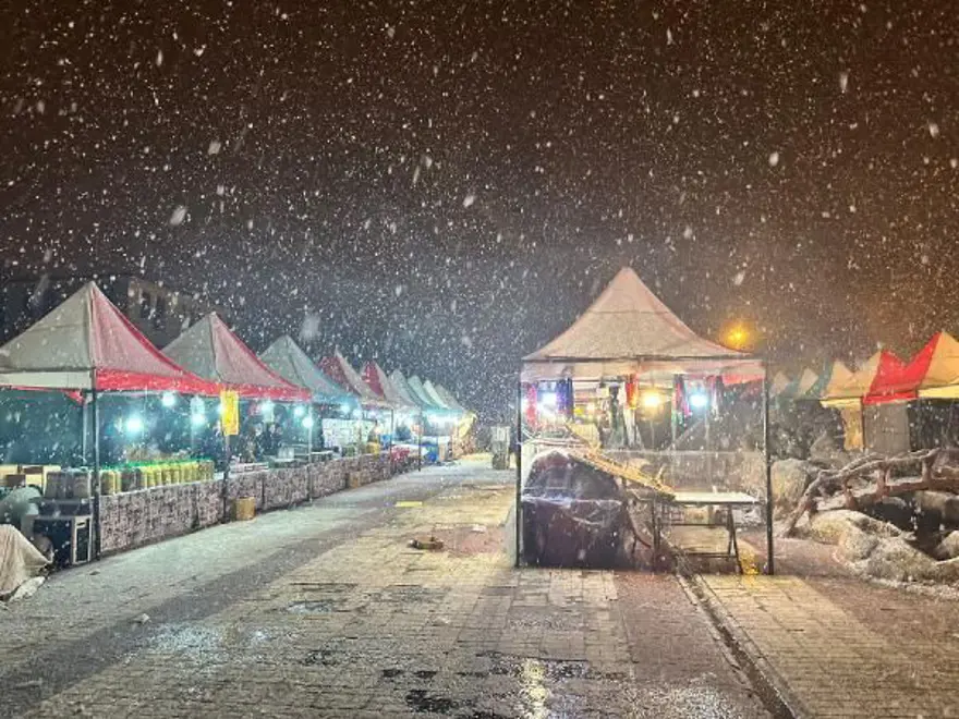 Birçok ilde kar etkili oldu: Yollar kapandı 6
