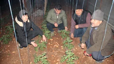 Mersin'de çiftçiler zirai don nöbetinde