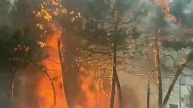 Kocaeli'de korkutan yangın