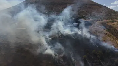 Patlıcan közlerken ormanı yakan şahıs yakalandı