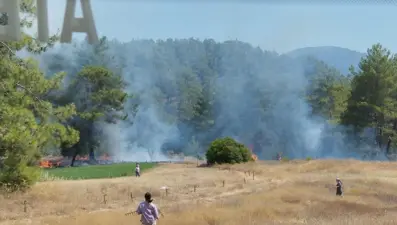 Muğla'da otluk alanda yangın