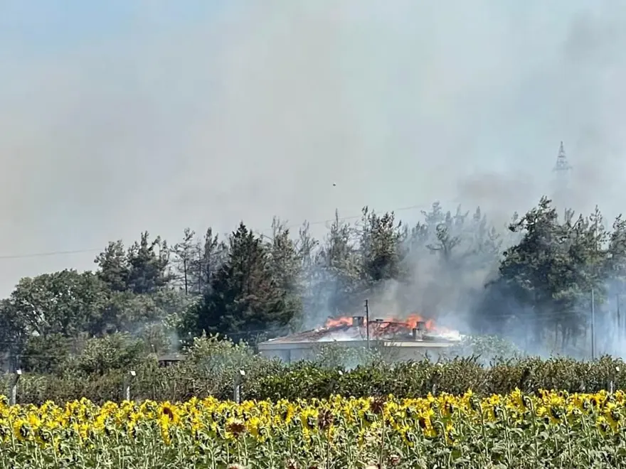 Bursa'da kampüse sıçrayan yangın kontrol altında: Cumhuriyet Başsavcılığı soruşturma başlattı 2