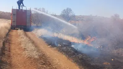 Mardin'de örtü yangını
