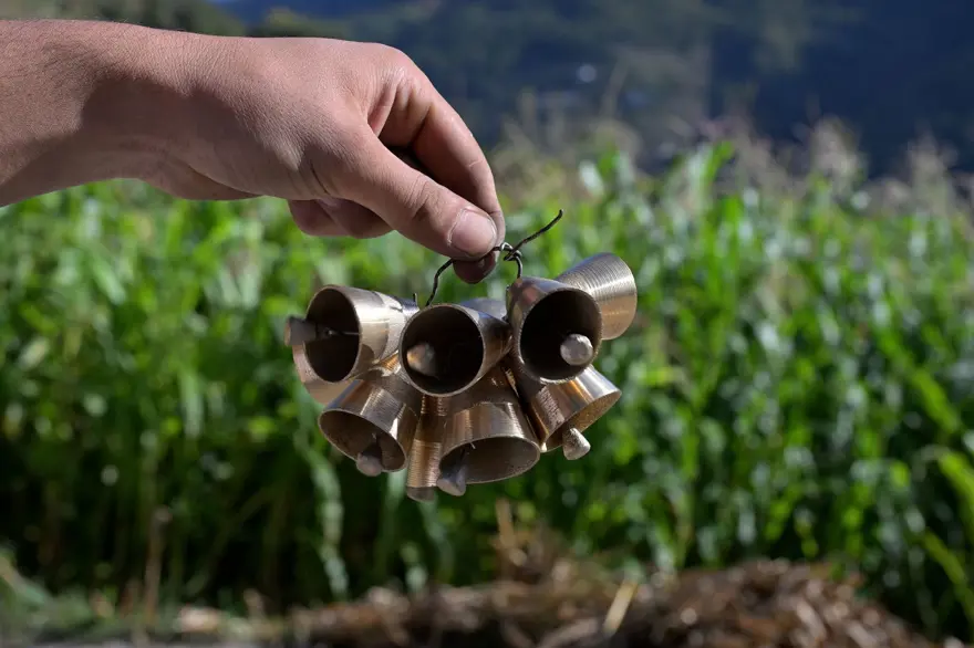 Gümüşhane'de üretiliyor, bir ilçenin geçim kapısı: Dünyaya yayılan melodi 3