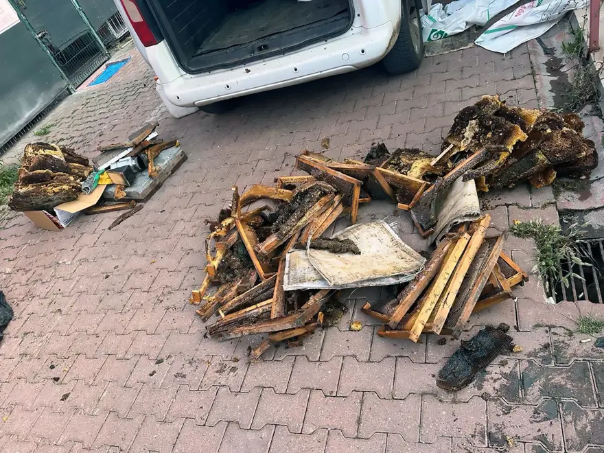 “Kraliçe arı taşıyoruz” dedi, kovanların içinden uyuşturucuçıktı 3