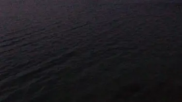 Serinlemek için Fırat Nehri'ne giren genç kayboldu