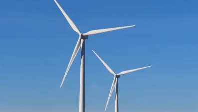 Trump'tan şaşırtan çevreci adım: Durdurma kararını geri çekti