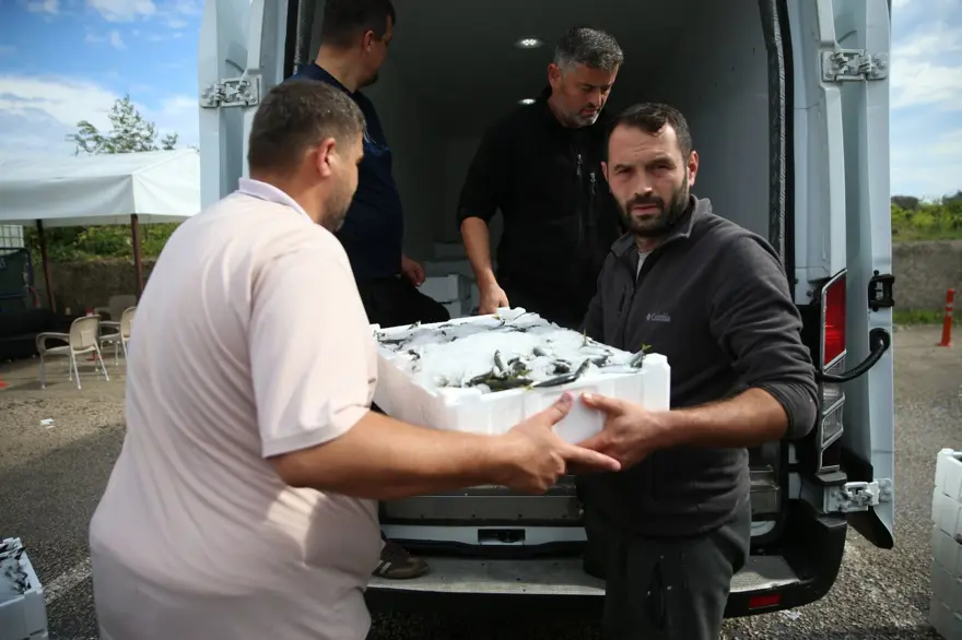 Balıkçıların yüzünü güldürdü: Tezgahta kilosu 150 lira 2 Balıkçıların yüzünü güldürdü: Tezgahta kilosu 150 lira 2