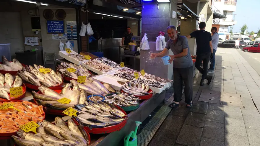 Balıkçılar sezona istavritle başladı, palamut avı beklentileri karşılamadı 3 Balıkçılar sezona istavritle başladı, palamut avı beklentileri karşılamadı 3