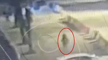 İçişleri Bakanlığı önünde "dur" ihtarına uymayan şüpheli etkisiz hale getirildi