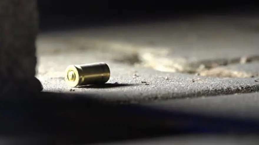 “KARINCAYI BİLE İNCİTMEM” 3