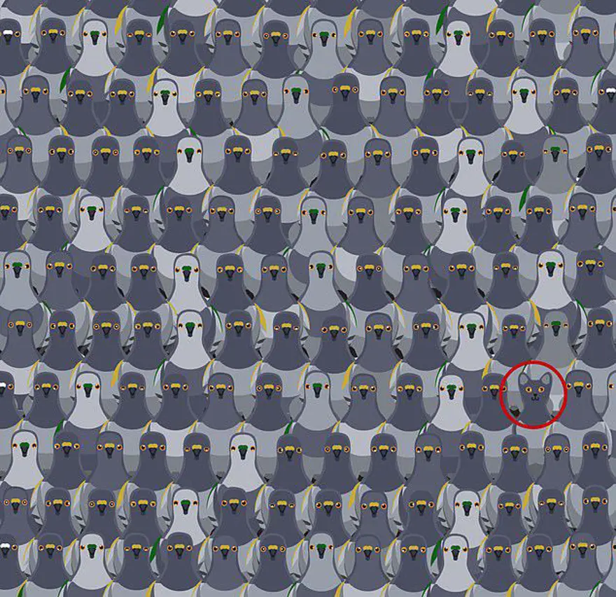 Kafa karıştıran zeka sorusu sosyal medyada gündem oldu: İnsanların yüzde 90'ı çözemiyor! 71 Kafa karıştıran zeka sorusu sosyal medyada gündem oldu: İnsanların yüzde 90'ı çözemiyor! 71