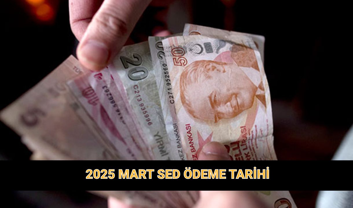 Mart SED ödeme takvimi | Sosyal ve Ekonomik Destek (SED) parası yattı mı? SED nedir?