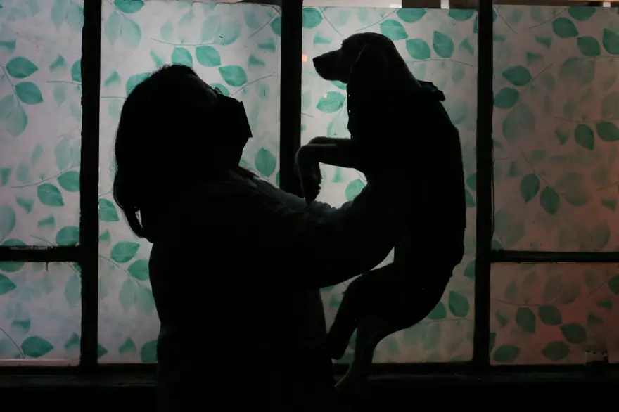 Dünyanın ilk köpek restoranı Bolivya'da açıldı 13