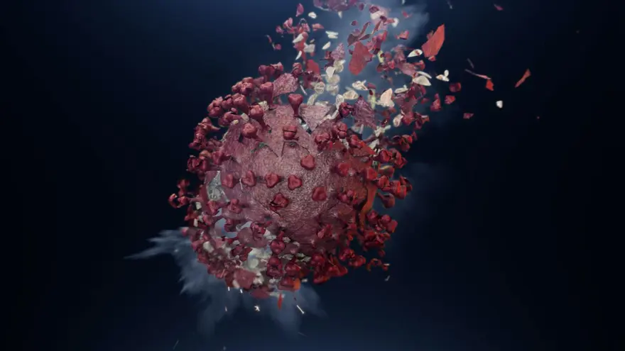 Araştırma: Omicron’un alt varyantı ciddi hastalıklara neden oluyor 3 Araştırma: Omicron’un alt varyantı ciddi hastalıklara neden oluyor 3