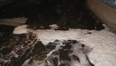 Oltu Çayı'nda kimyasal atık şüphesi