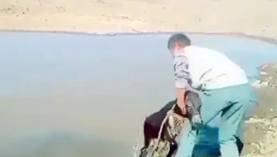 Sıpaya eziyet eden 2 kişiye 947'şer lira ceza