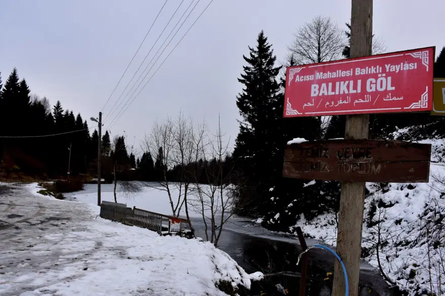 Buz tutan Balıklıgöl'de kartpostallık manzaralar 6