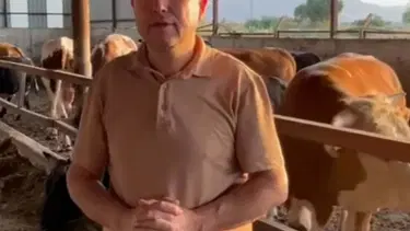 Sattığı kurbanlığın fotoğrafını çekerken canından oldu