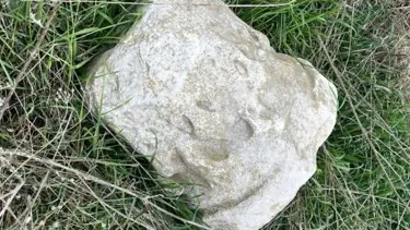 Binanın bahçesinde Roma dönemine ait sütun başlığı bulundu