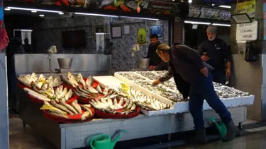 Sezon başlamadan bitti: Umutlar seneye kaldı