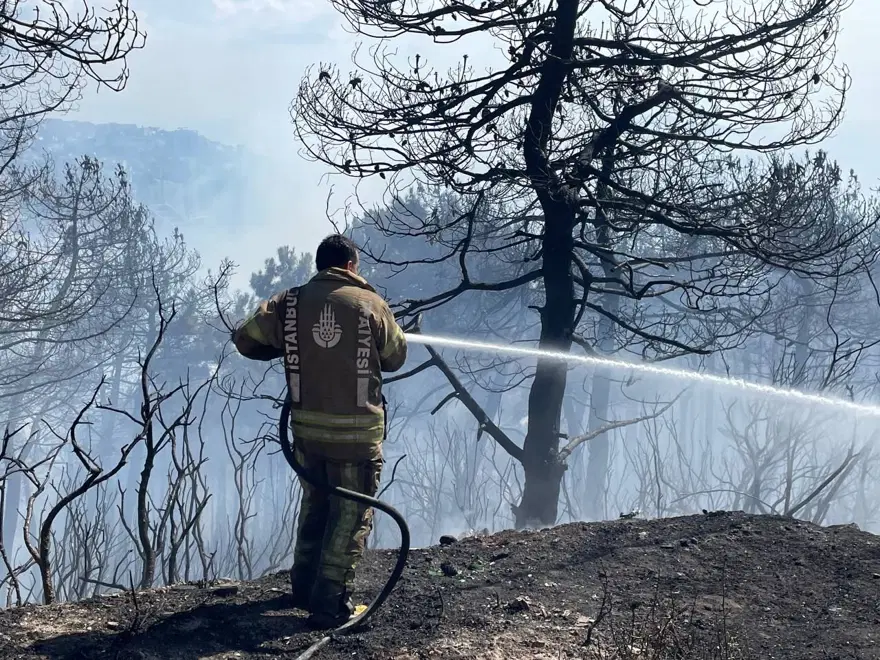 İstanbul Maltepe'de orman yangını 9