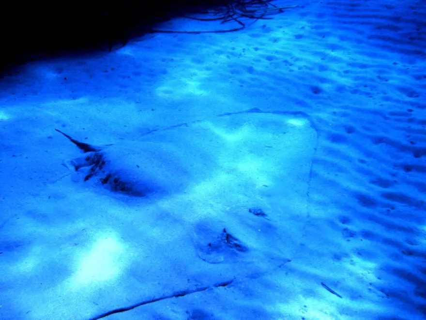 ATLAS OKYANUSU'NUN KUZEYİNDEN GELİYORLAR 1