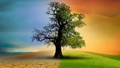 Uzmanlardan kritik iklim uyarısı