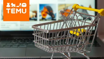 TEMU, Türkiye'de temsilcilik açıyor: Ticaret Bakanlığına çağrıldı
