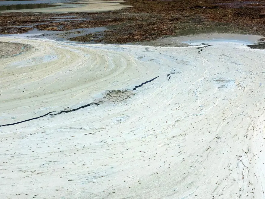 Türkiye'nin önemli tatlı su kaynağı can çekişiyor! Tedirgin eden görüntü 7