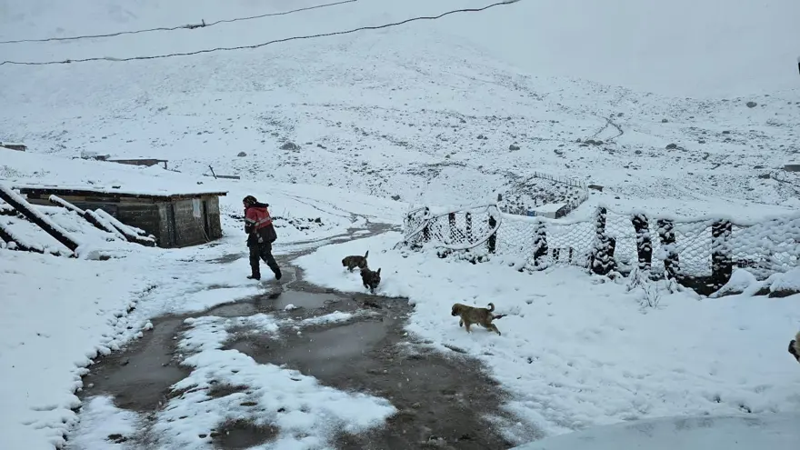 Yağmur kar yağışına döndü, yeni güne bembeyaz başladılar 1