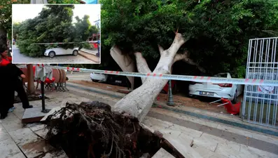 Antalya’da ağaç 5 otomobilin üzerine devrildi: Son anda kurtuldu