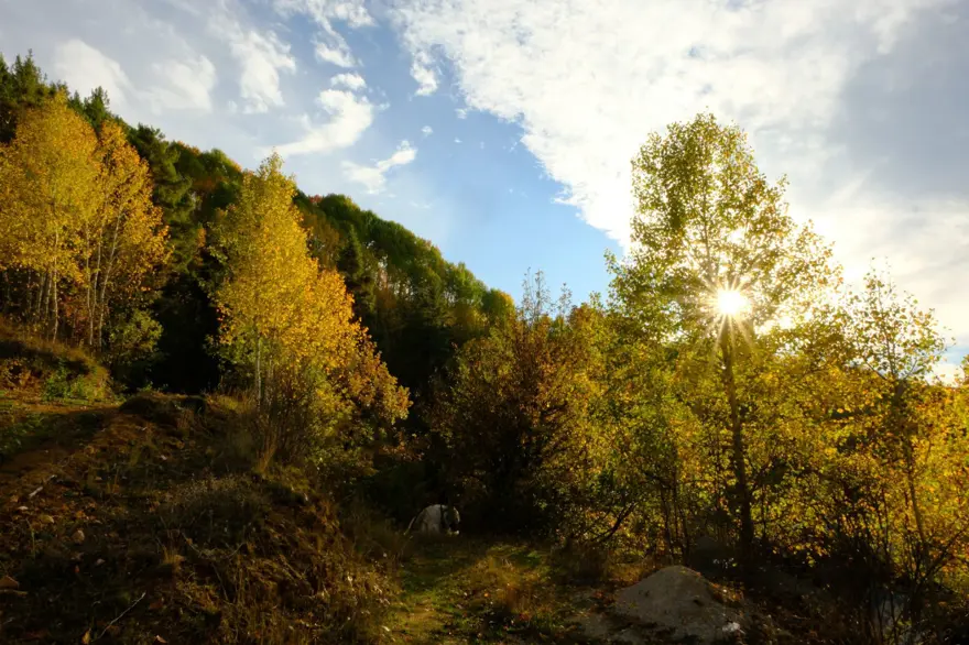 Gümüşhane'de Alpleri aratmayan güzellik: Zirveler kış, vadiler sonbahar 1 Gümüşhane'de Alpleri aratmayan güzellik: Zirveler kış, vadiler sonbahar 1
