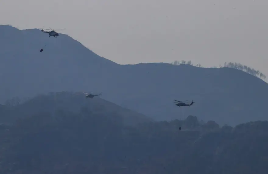 Cumhurbaşkanı Erdoğan: Marmaris'teki orman yangını büyük oranda kontrol altında 87