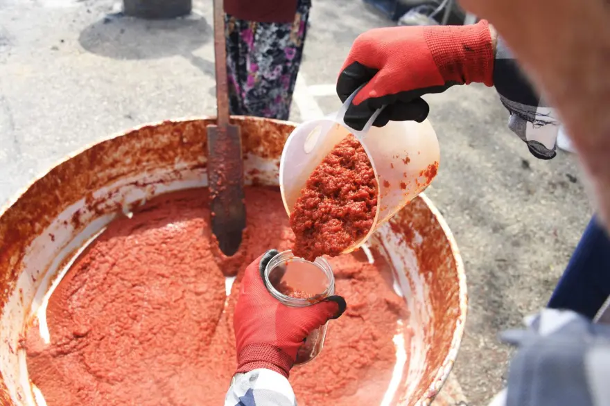 Ev yapımı salça seferberliği: İmece usulü hazırlandı 2