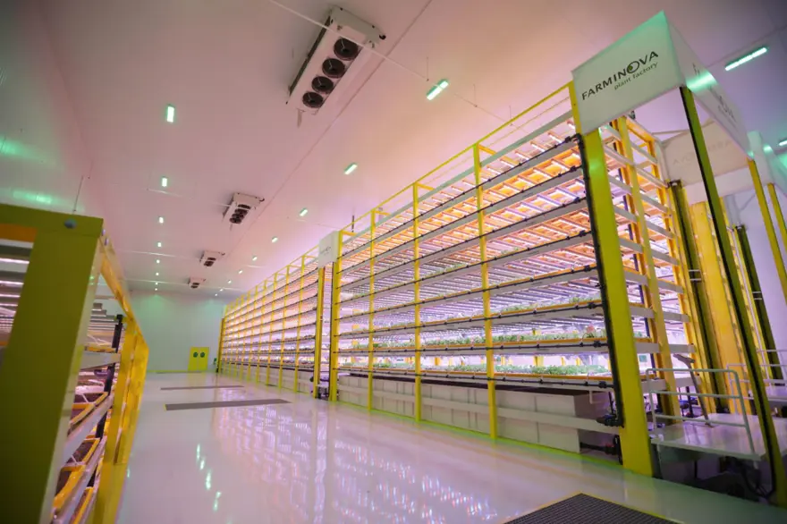 Yangında küle dönen Türkiye'nin ilk bitki fabrikası, 7 ayda yeniden inşa edildi 10